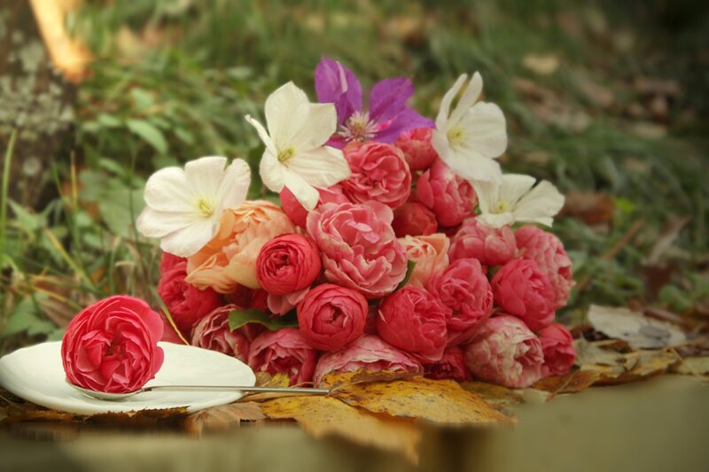 Bouquet of Flowers — Pink, Serene, Autumn