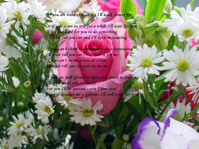 Bouquet of Flowers — Pink, Serene, Photograph