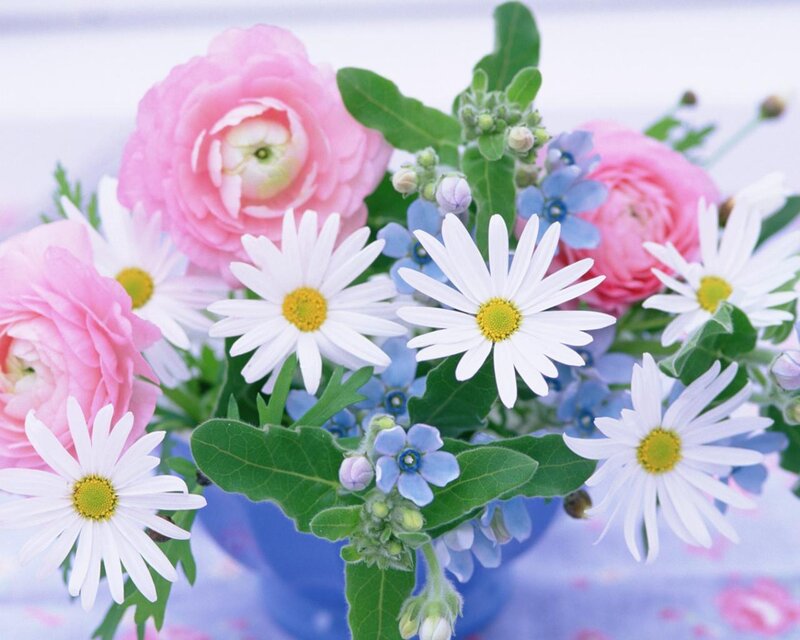 Bouquet of Flowers — Pink, Serene, Spring, Photograph