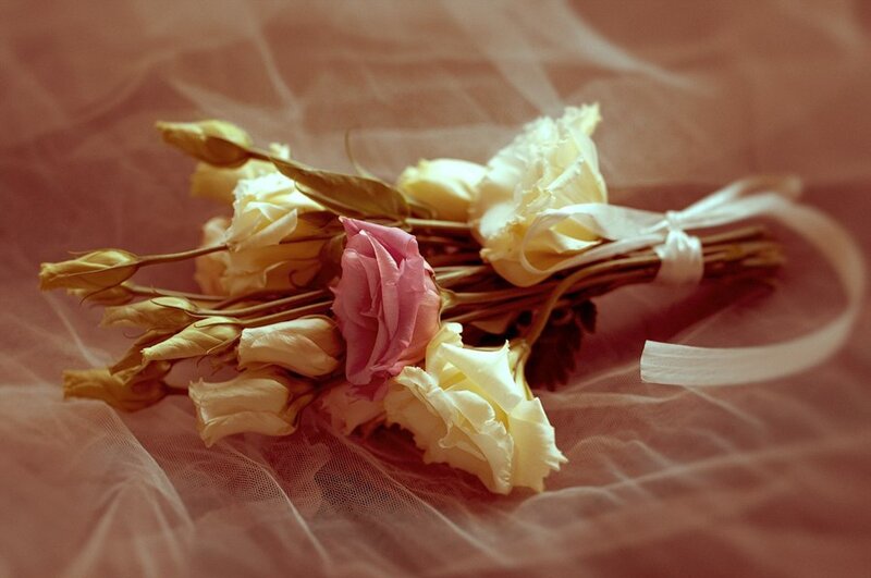 Bouquet of Flowers — Pink, Soft