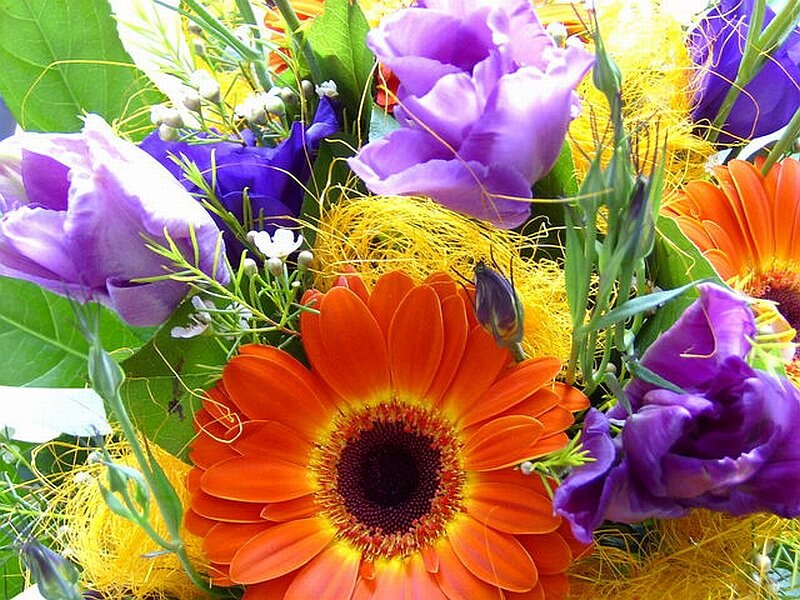 Bouquet of Flowers — Purple, Vibrant