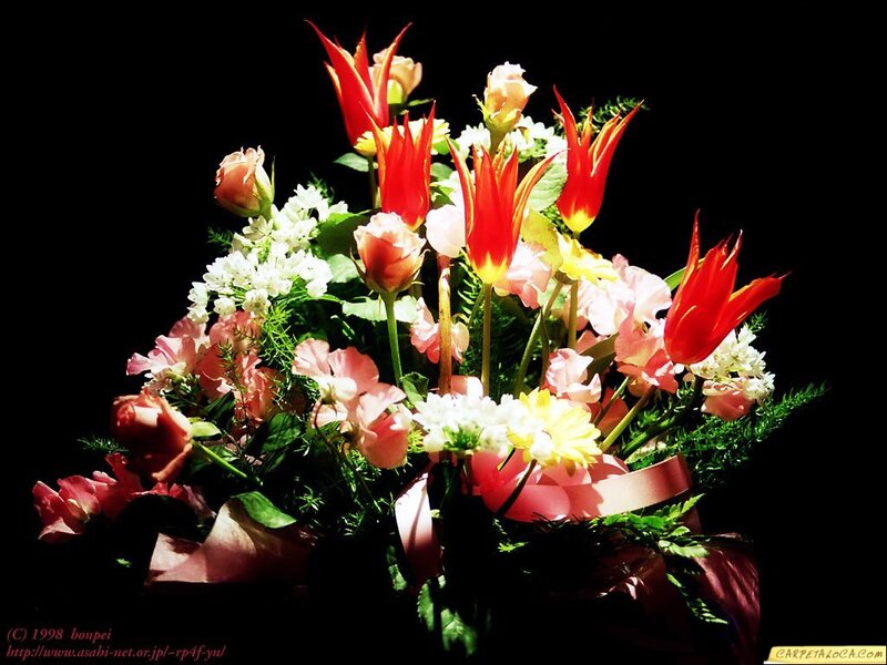 Bouquet of Flowers — Red, Dramatic, Photograph