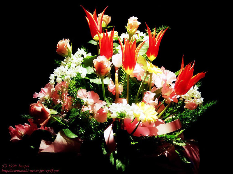 Bouquet of Flowers — Red, Dramatic