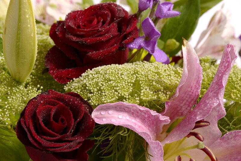 Bouquet of Flowers — Red, Fresh
