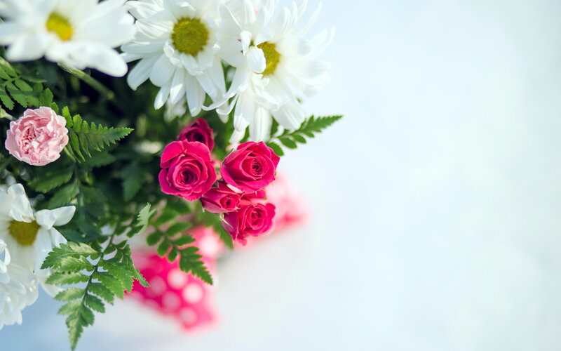 Bouquet of Flowers — White, Calm, Spring