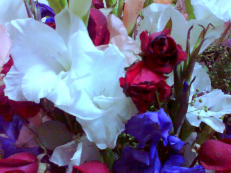 Bouquet of Flowers — White, Calm