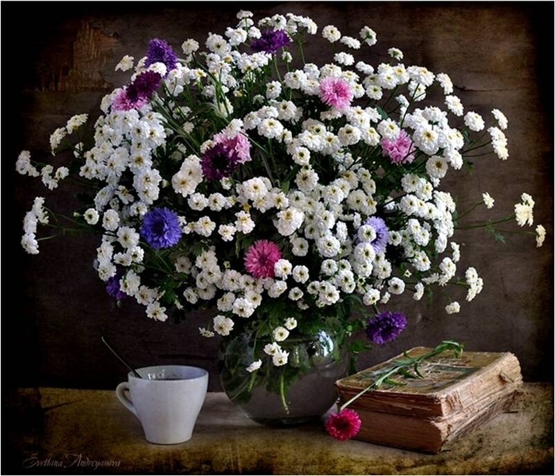 Bouquet of Flowers — White, Serene, Photograph