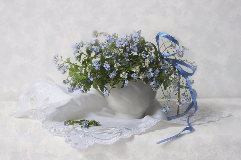 Bouquet of Forget-me-nots — Blue, Serene, Photograph