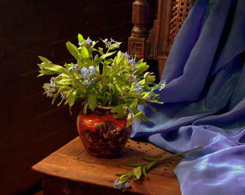 Bouquet of Forget-me-nots