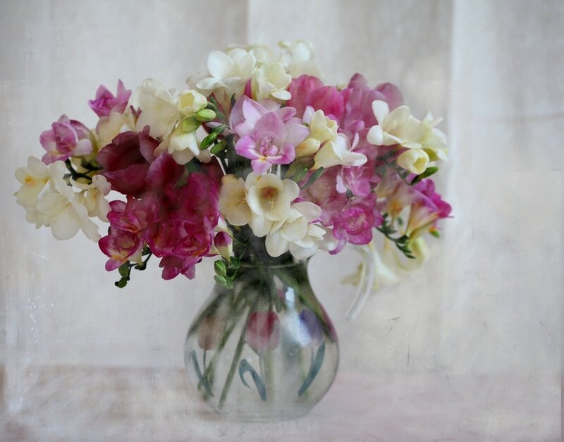 Bouquet of Freesia Flowers — Pink