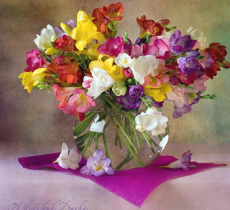 Bouquet of Freesia Flowers — Purple