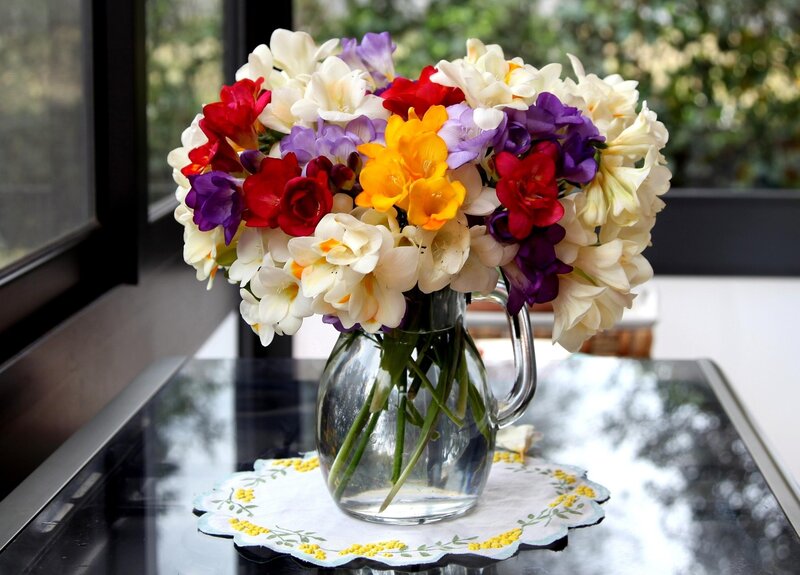 Bouquet of Freesia Flowers — White, Calm