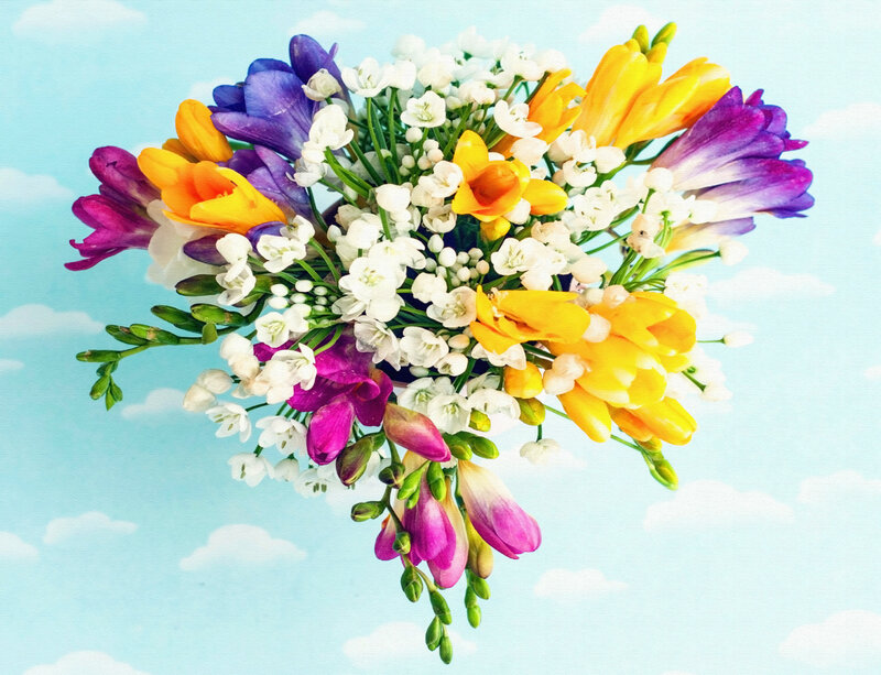 Bouquet of Freesia Flowers — Yellow, Bright, Spring
