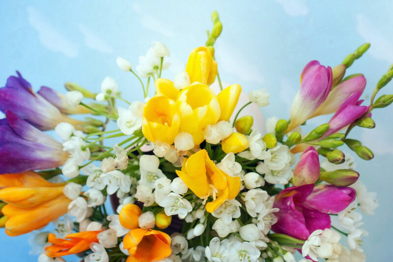 Bouquet of Freesia Flowers — Yellow, Calm, Spring