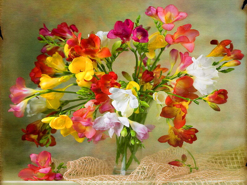 Bouquet of Freesia Flowers — Yellow, Calm