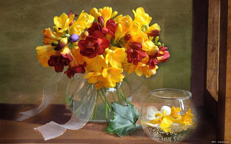 Bouquet of Freesia Flowers — Yellow, Serene, Afternoon