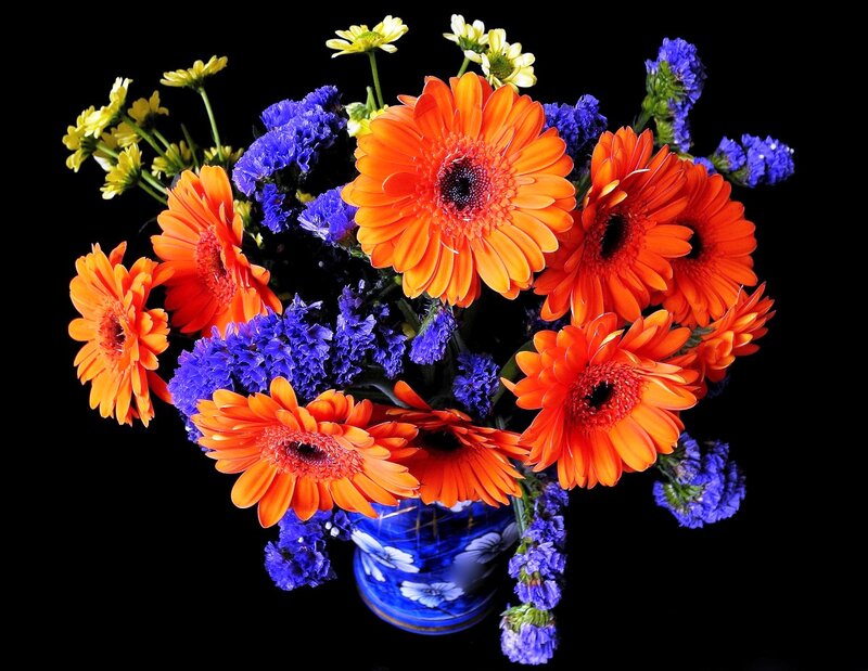 Bouquet of Gerbera Daisies — Orange