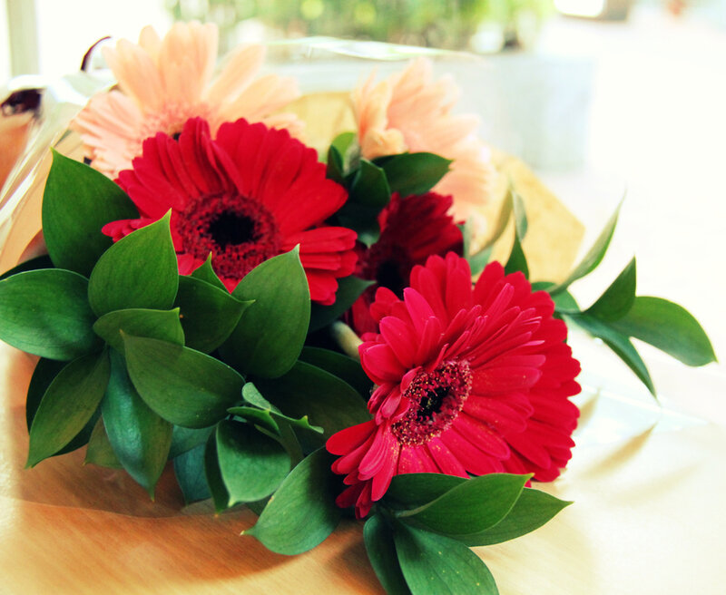 Bouquet of Gerbera Daisies — Red