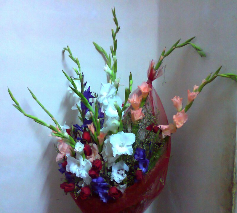 Bouquet of Gladiolus Flowers