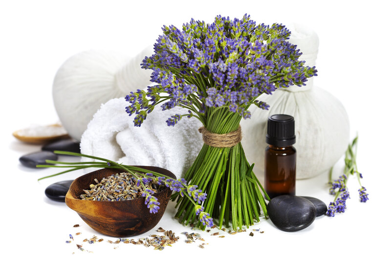 Bouquet of Lavender Flowers — Purple, Calm
