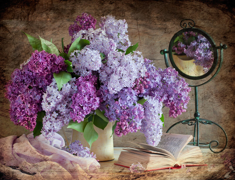 Bouquet of Lilac Flowers — Purple, Calm, Spring, Photograph