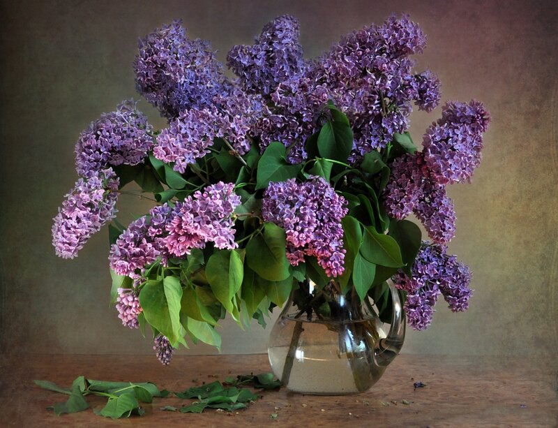 Bouquet of Lilac Flowers — Purple, Calm, Spring, Photograph, Vase, Leaves, Wooden Table