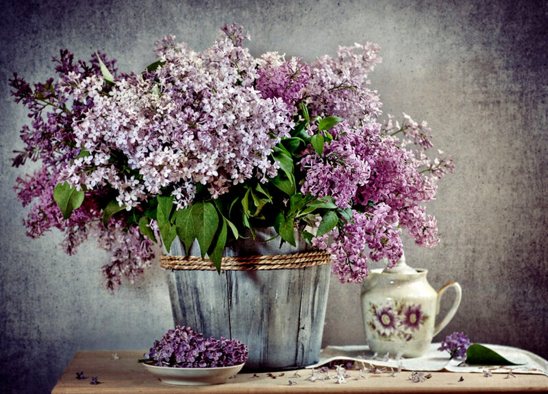 Bouquet of Lilac Flowers — Purple, Calm, Spring, Photograph, Wooden Bucket
