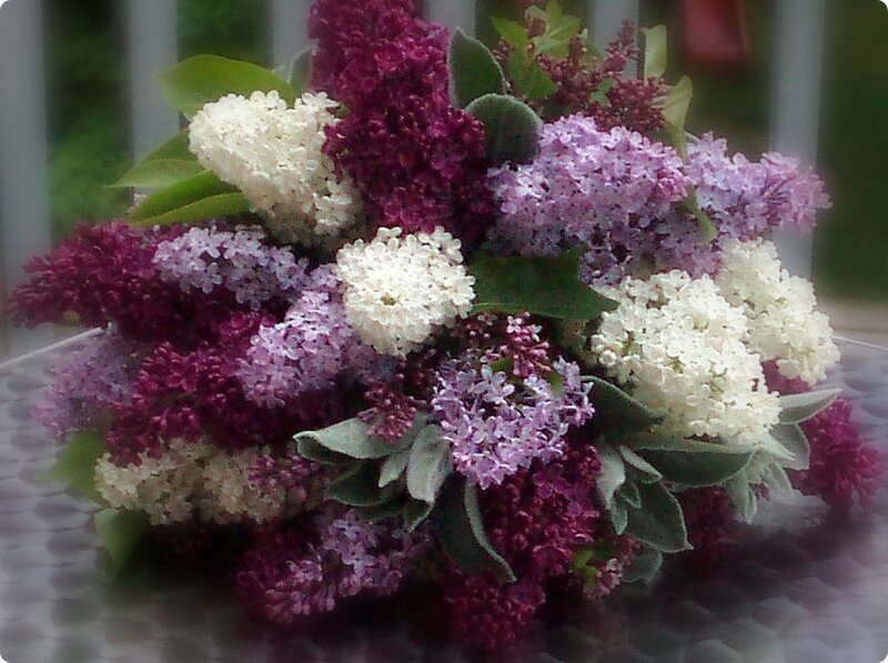 Bouquet of Lilac Flowers — Purple, Calm