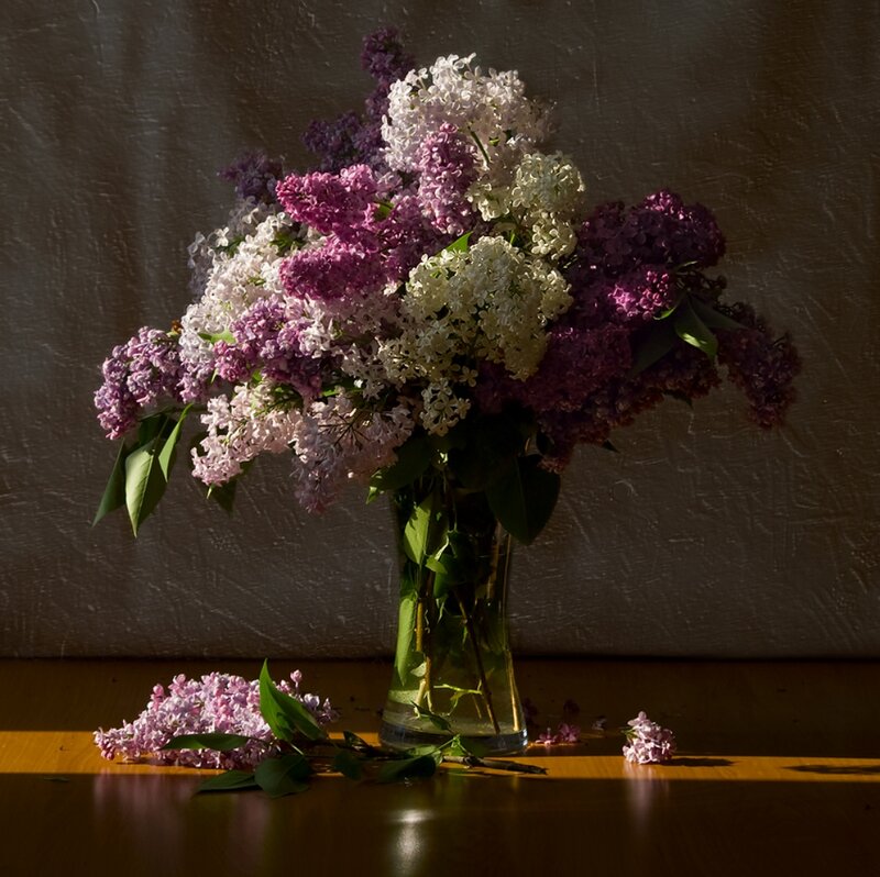 Bouquet of Lilac Flowers — Purple, Dramatic, Spring