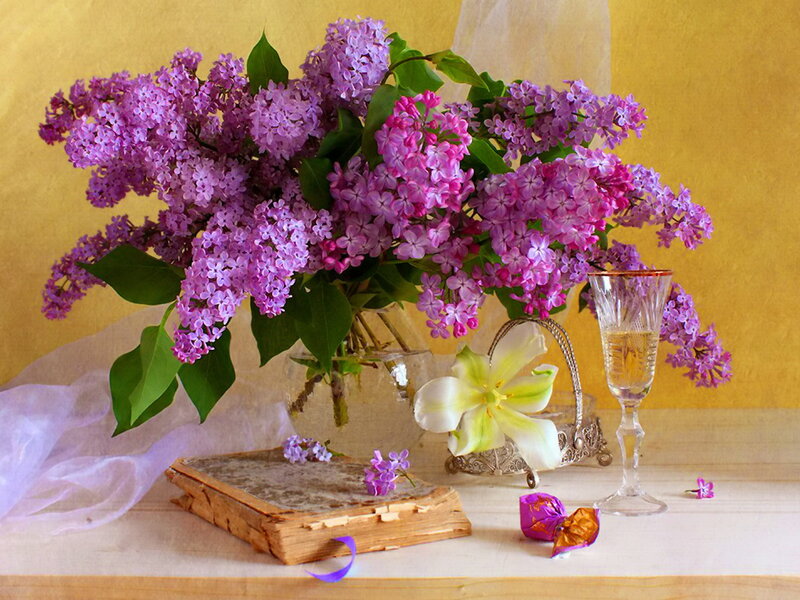 Bouquet of Lilac Flowers — Purple, Serene, Spring, Photograph, Book, Glass
