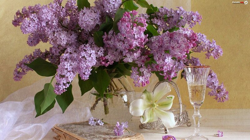 Bouquet of Lilac Flowers — Purple, Serene, Spring, Photograph, Glass Vase