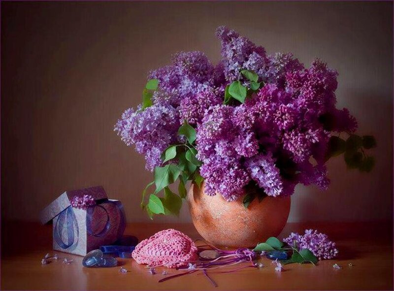 Bouquet of Lilac Flowers — Purple, Serene, Spring, Photograph, Vase, Gift Box