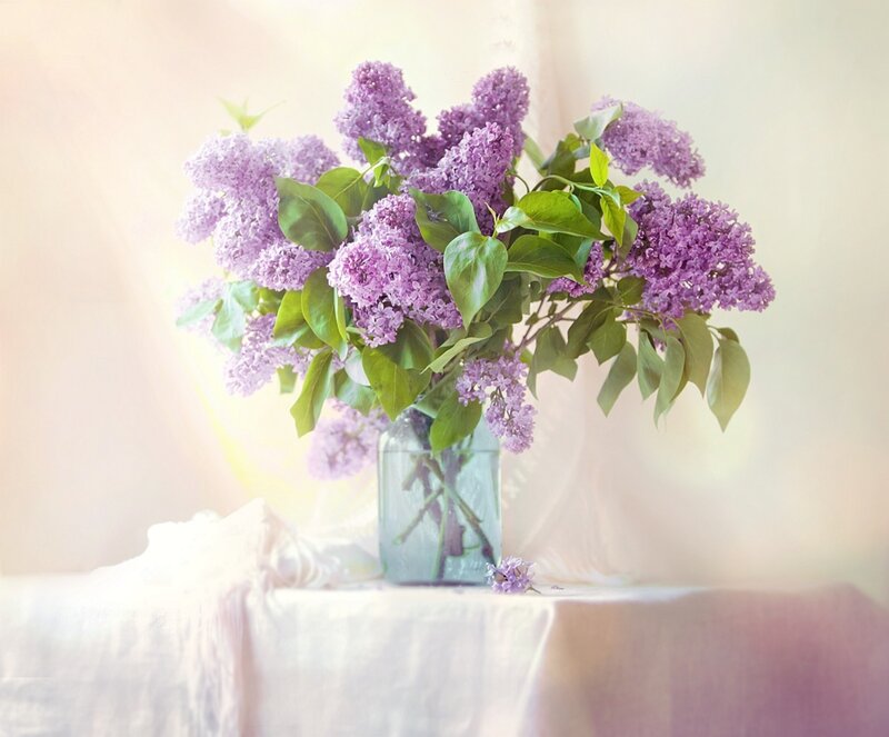 Bouquet of Lilac Flowers — Purple, Serene, Spring, Photograph, Vase, Tablecloth, Light