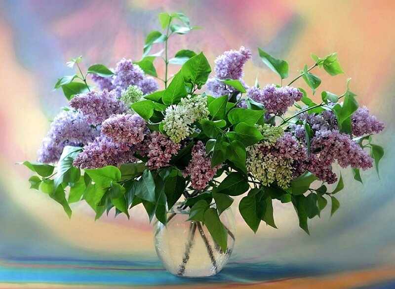 Bouquet of Lilac Flowers — Purple, Serene, Spring