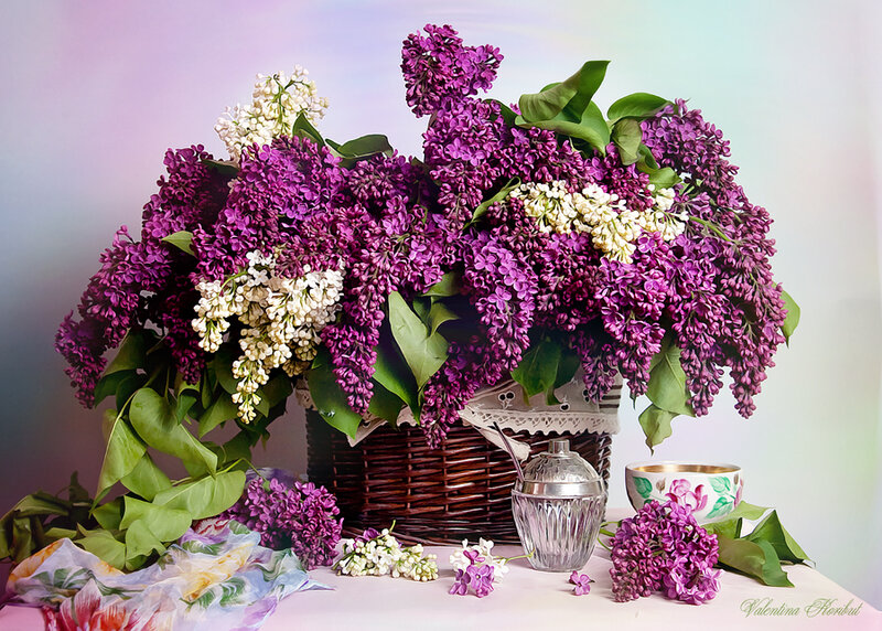 Bouquet of Lilac Flowers — Purple, Serene