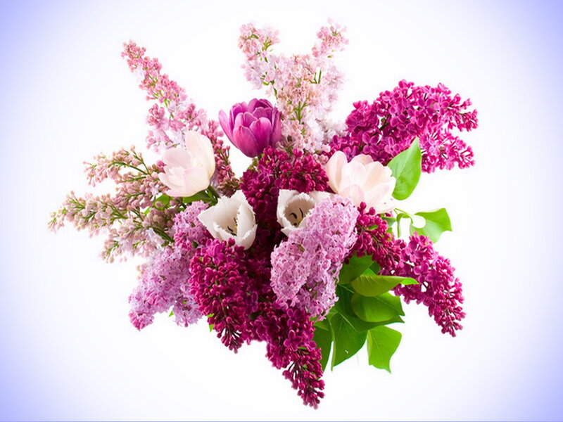 Bouquet of Lilacs and Tulips — Purple, Calm, Spring