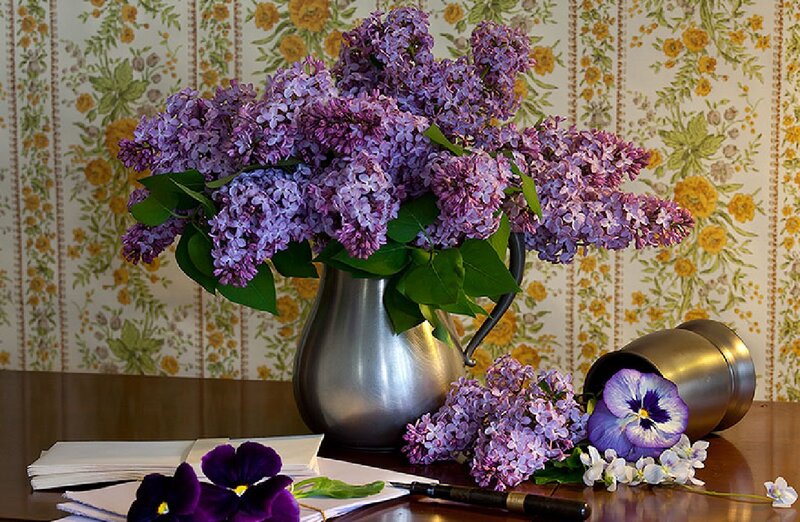 Bouquet of Lilacs in Pitcher