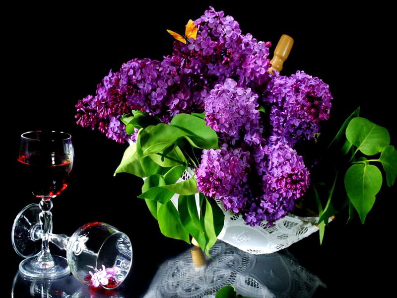 Bouquet of Lilacs — Purple, Dramatic