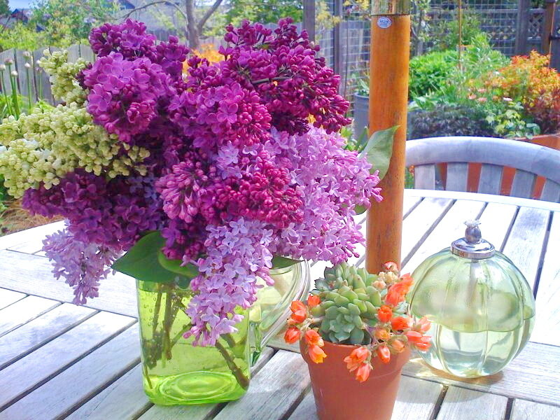 Bouquet of Lilacs — Purple, Serene, Afternoon