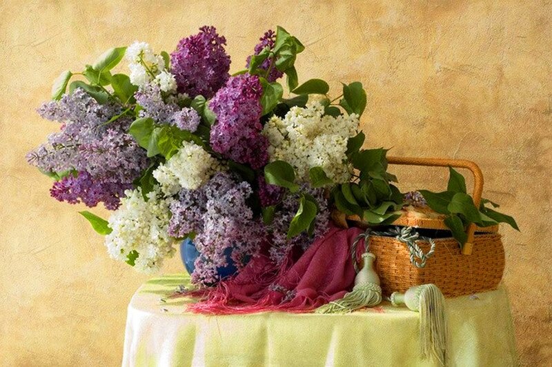 Bouquet of Lilacs — Purple, Serene, Spring, Photograph