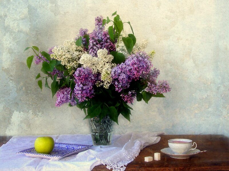 Bouquet of Lilacs — Purple