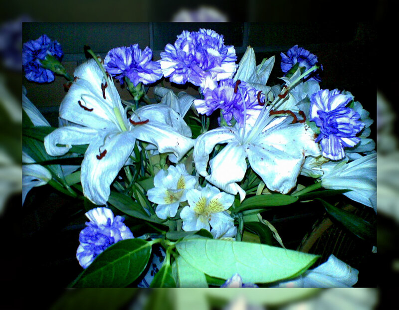 Bouquet of Lilies and Carnations