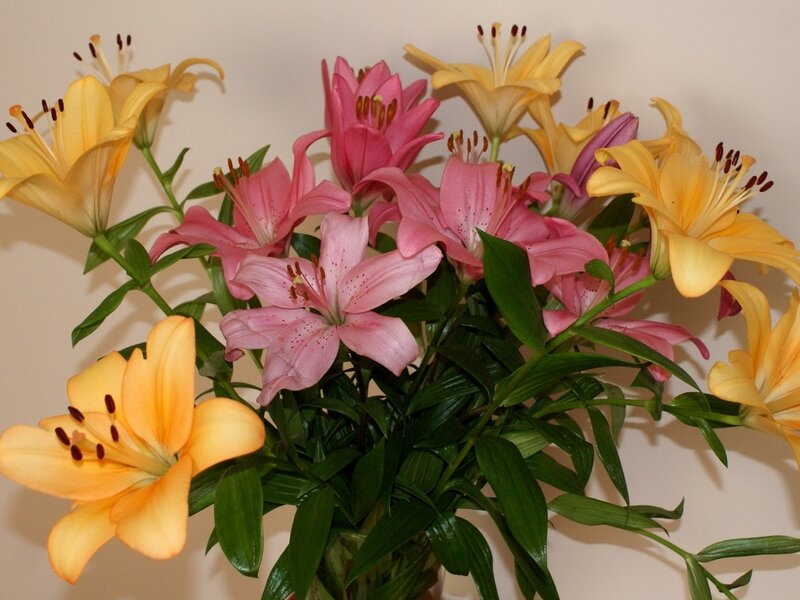 bouquet of lilies