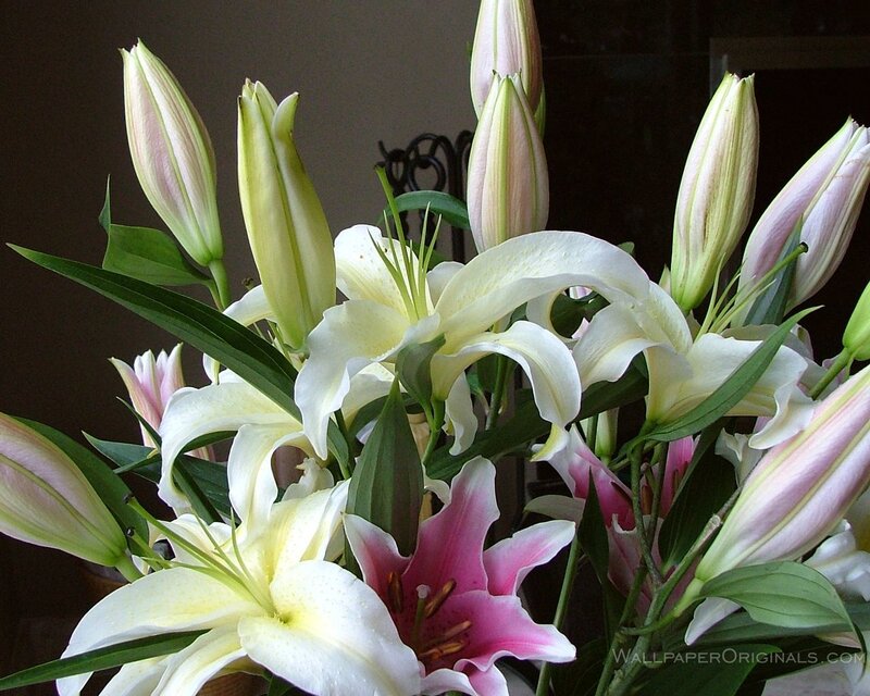 Bouquet of Lilies — White