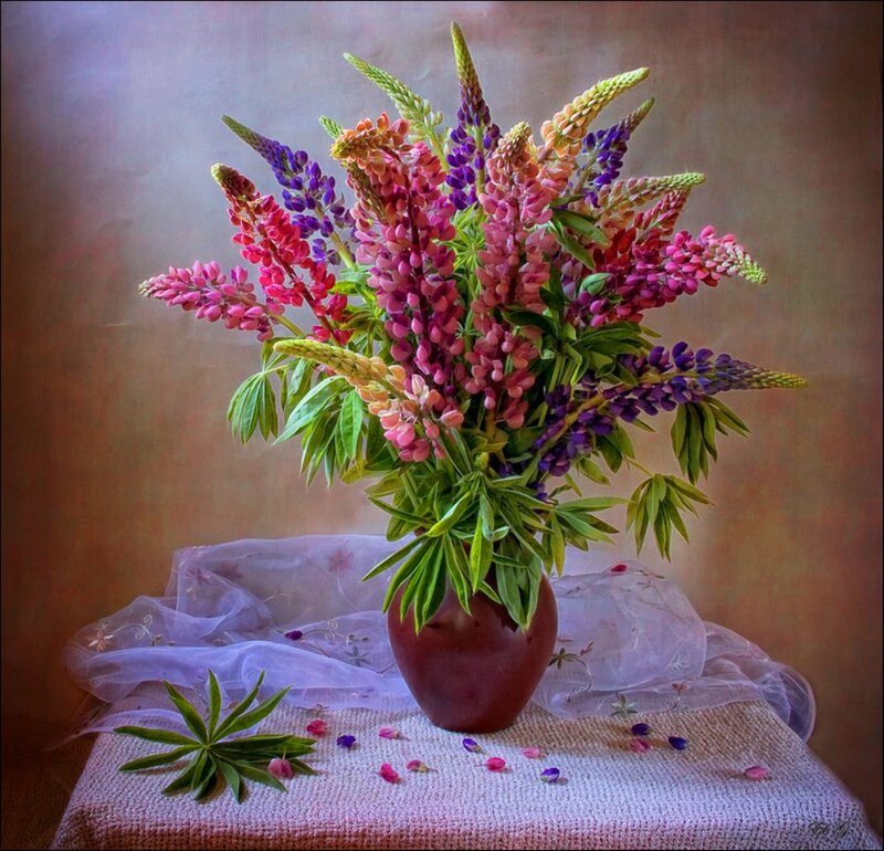 Bouquet of Lupine Flowers — Purple