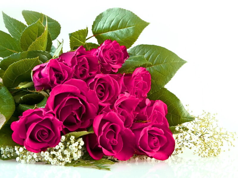 Bouquet of Magenta Roses