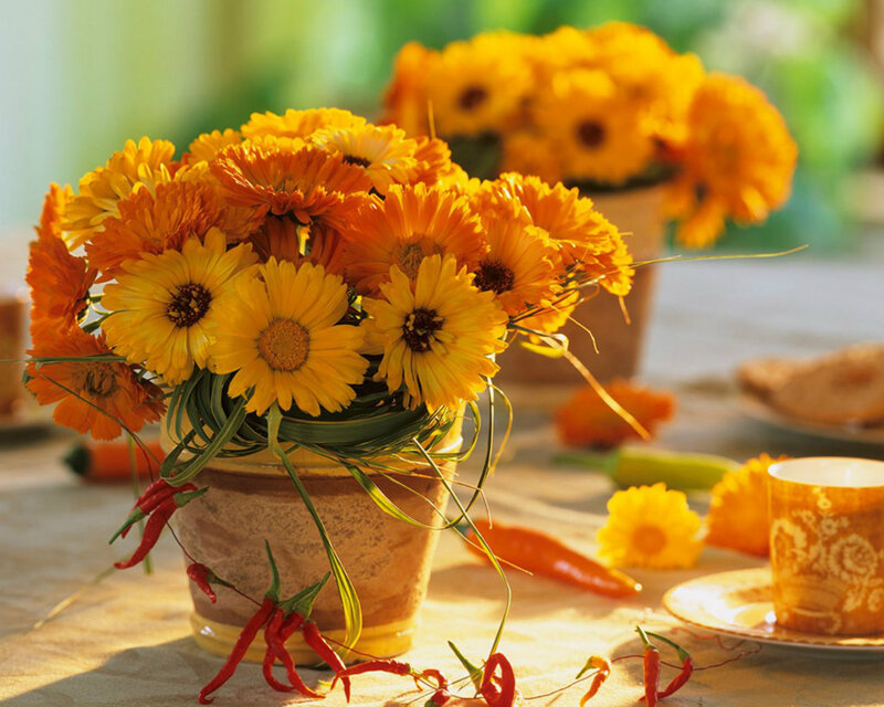 Bouquet of Marigold Flowers