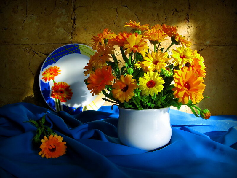 Bouquet of Marigolds