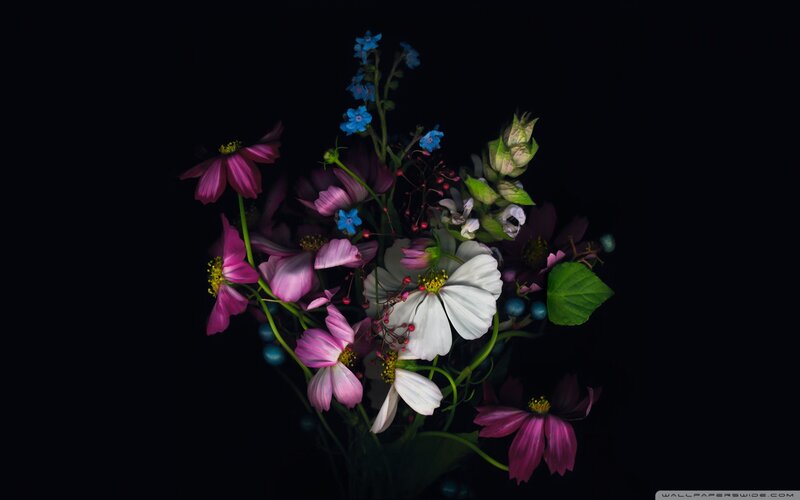 Bouquet of Mixed Flowers — Black, Dramatic