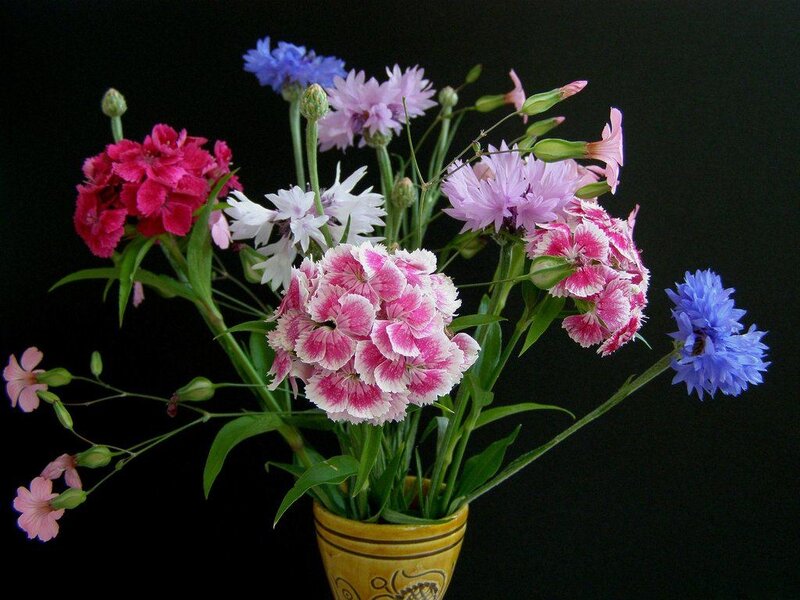 Bouquet of Mixed Flowers — Black